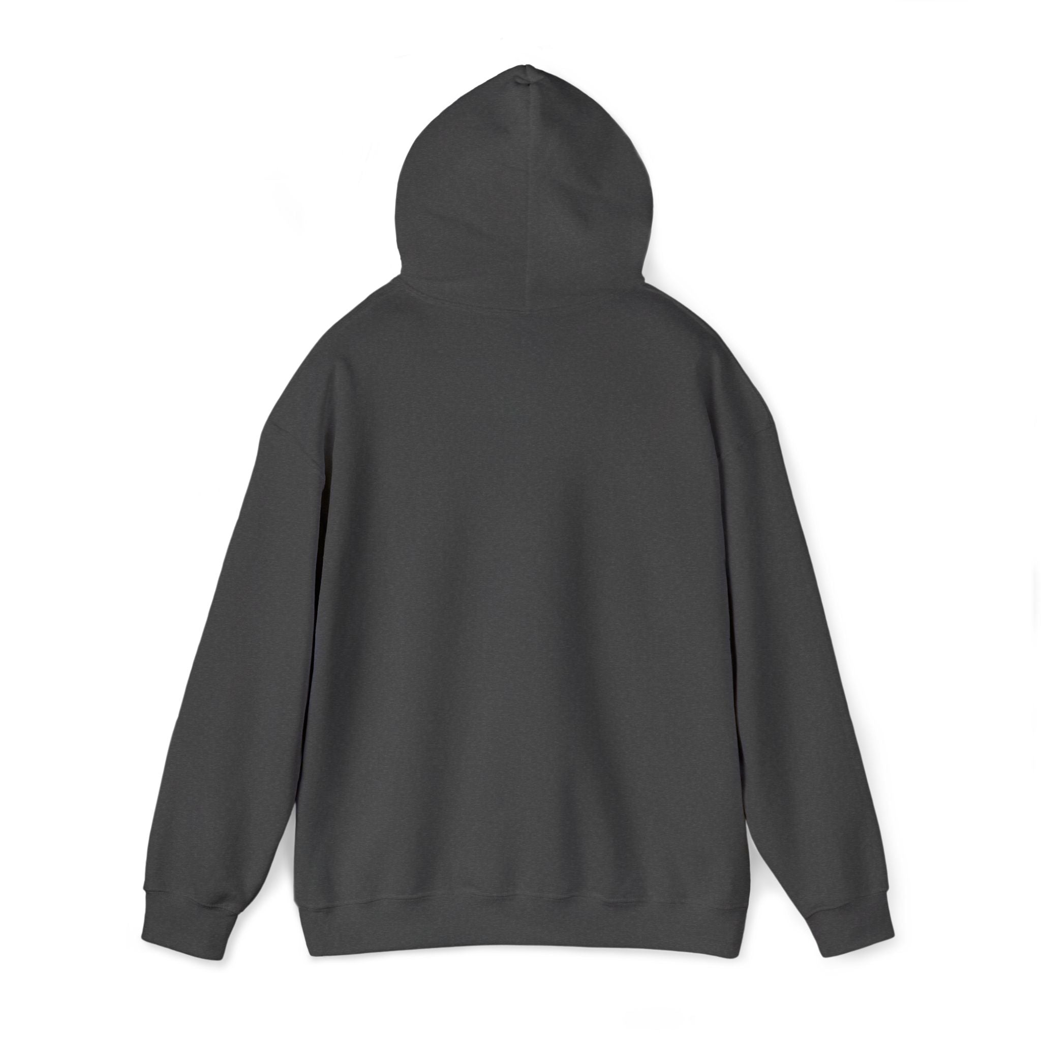 Echo Distressed Logo Hoodie — Retro Grunge Streetwear Pullover