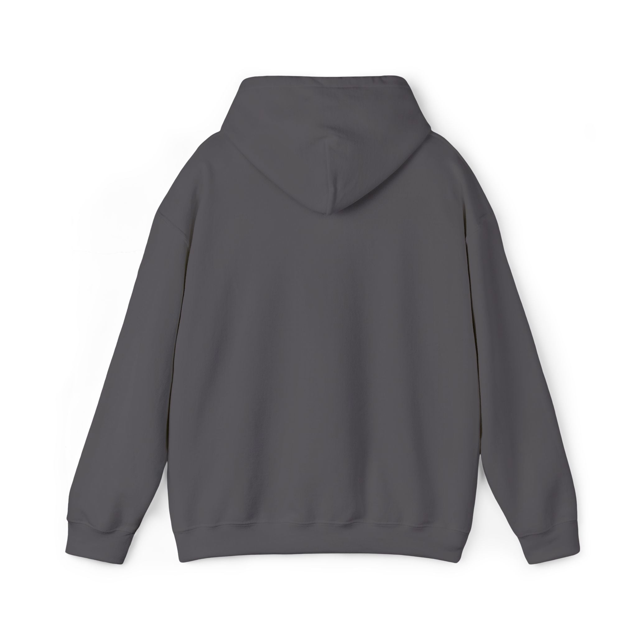 Echo Distressed Logo Hoodie — Retro Grunge Streetwear Pullover