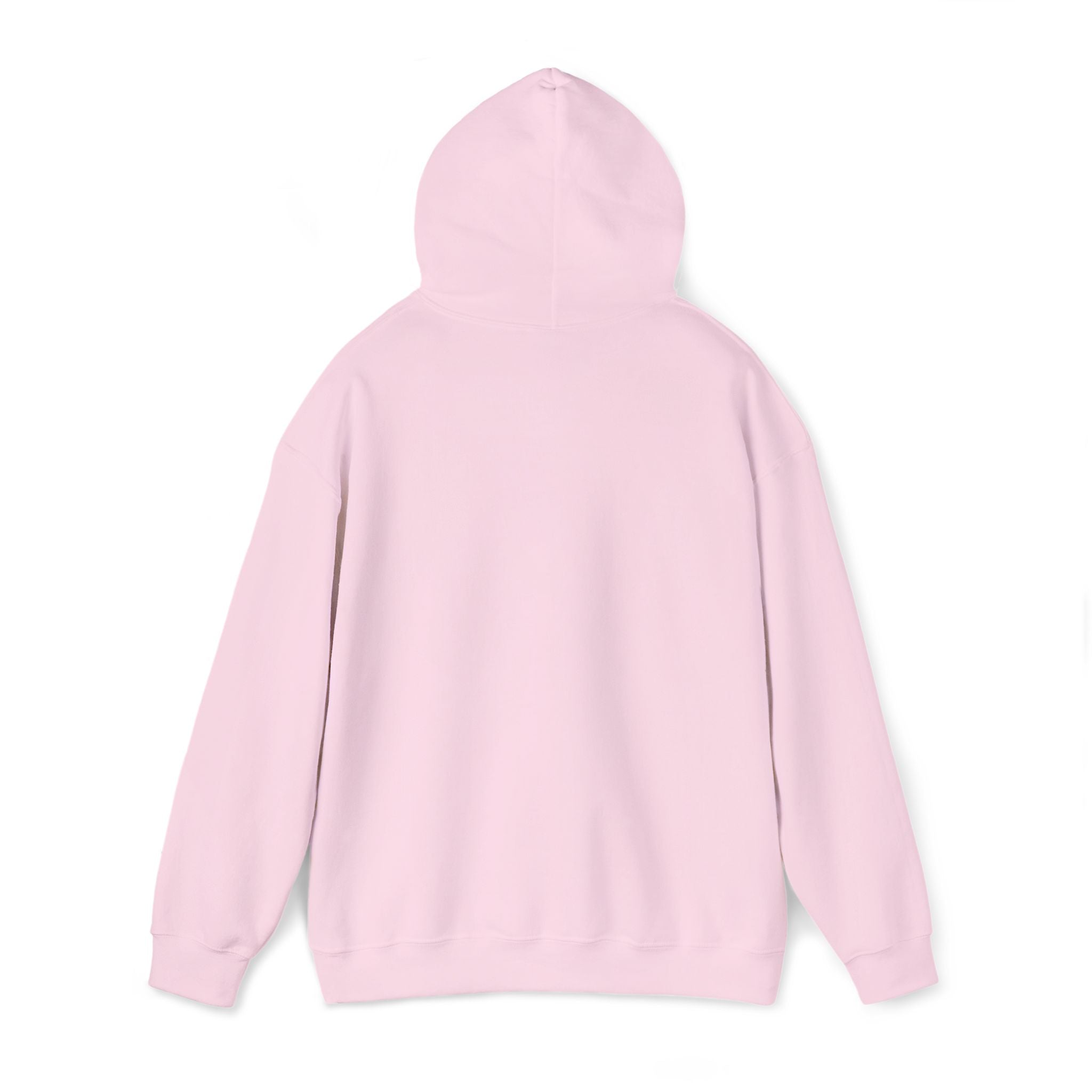 Echo Distressed Logo Hoodie — Retro Grunge Streetwear Pullover