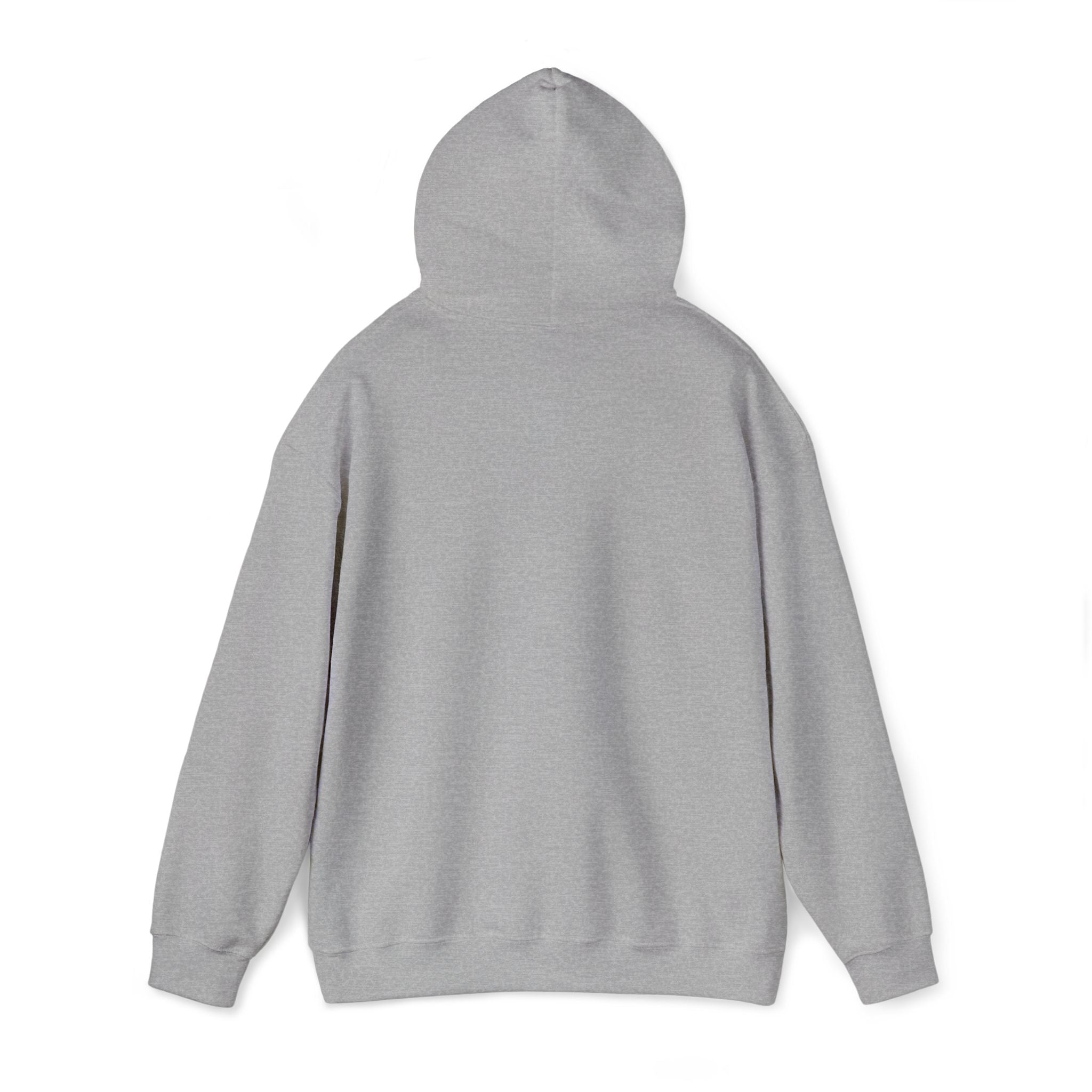 Echo Distressed Logo Hoodie — Retro Grunge Streetwear Pullover