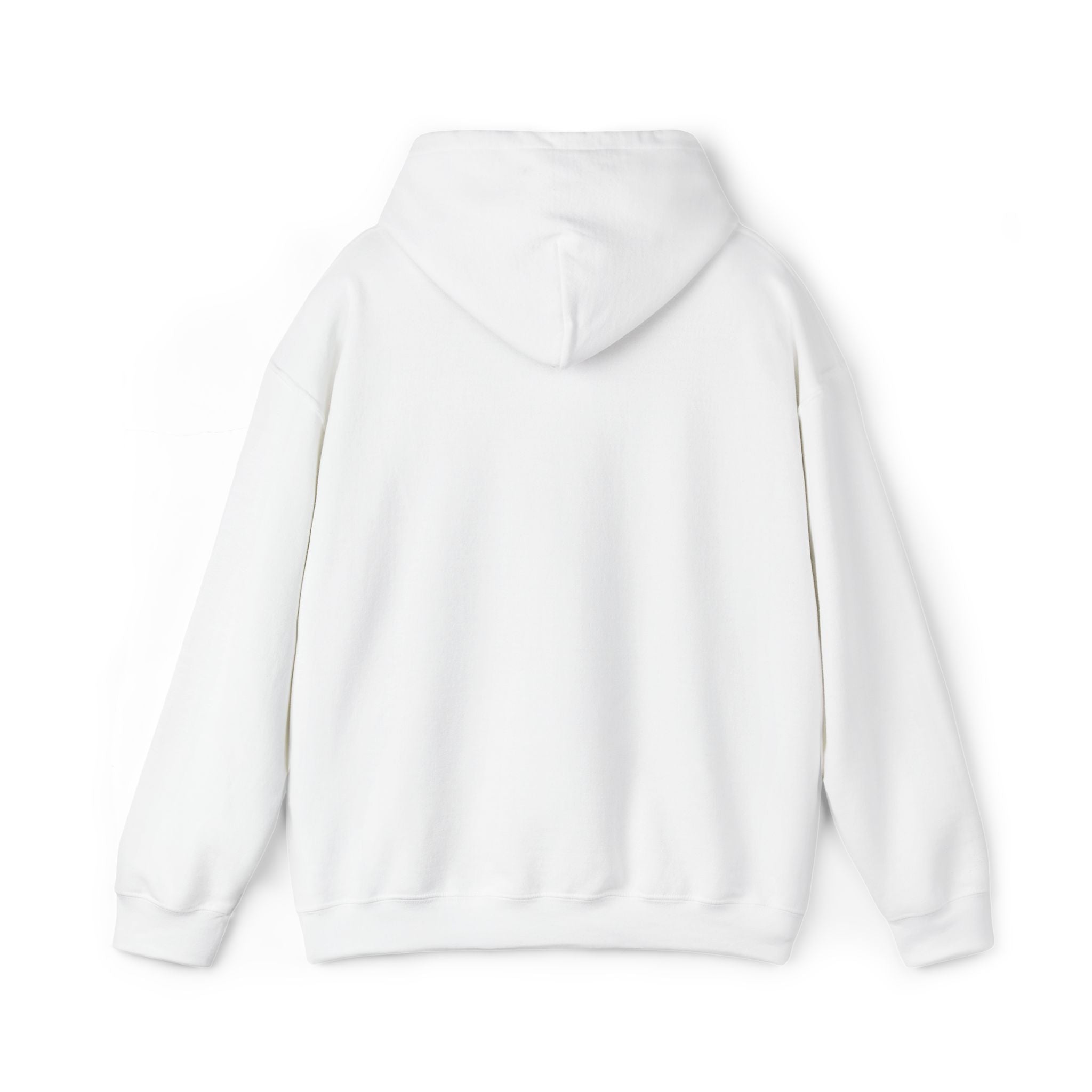 Echo Distressed Logo Hoodie — Retro Grunge Streetwear Pullover