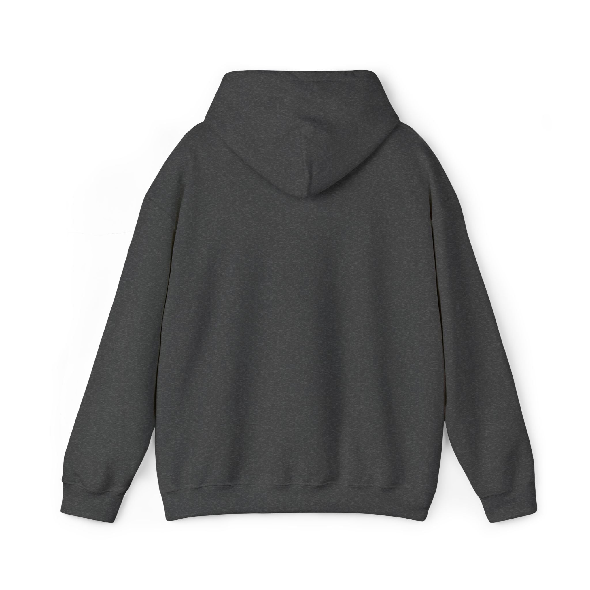 Echo Distressed Logo Hoodie — Retro Grunge Streetwear Pullover