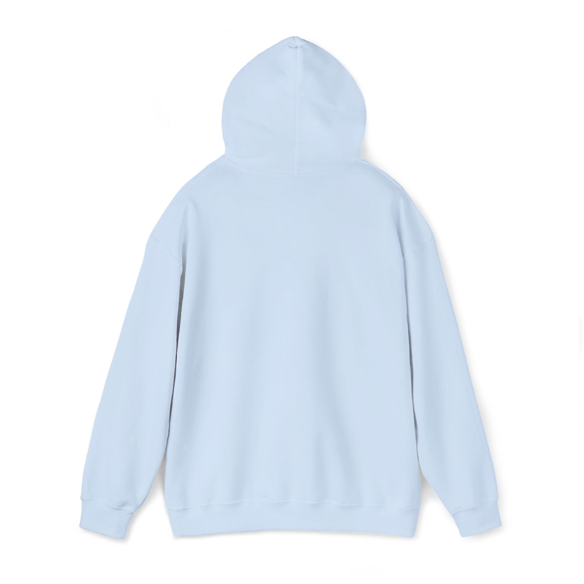 Echo Distressed Logo Hoodie — Retro Grunge Streetwear Pullover