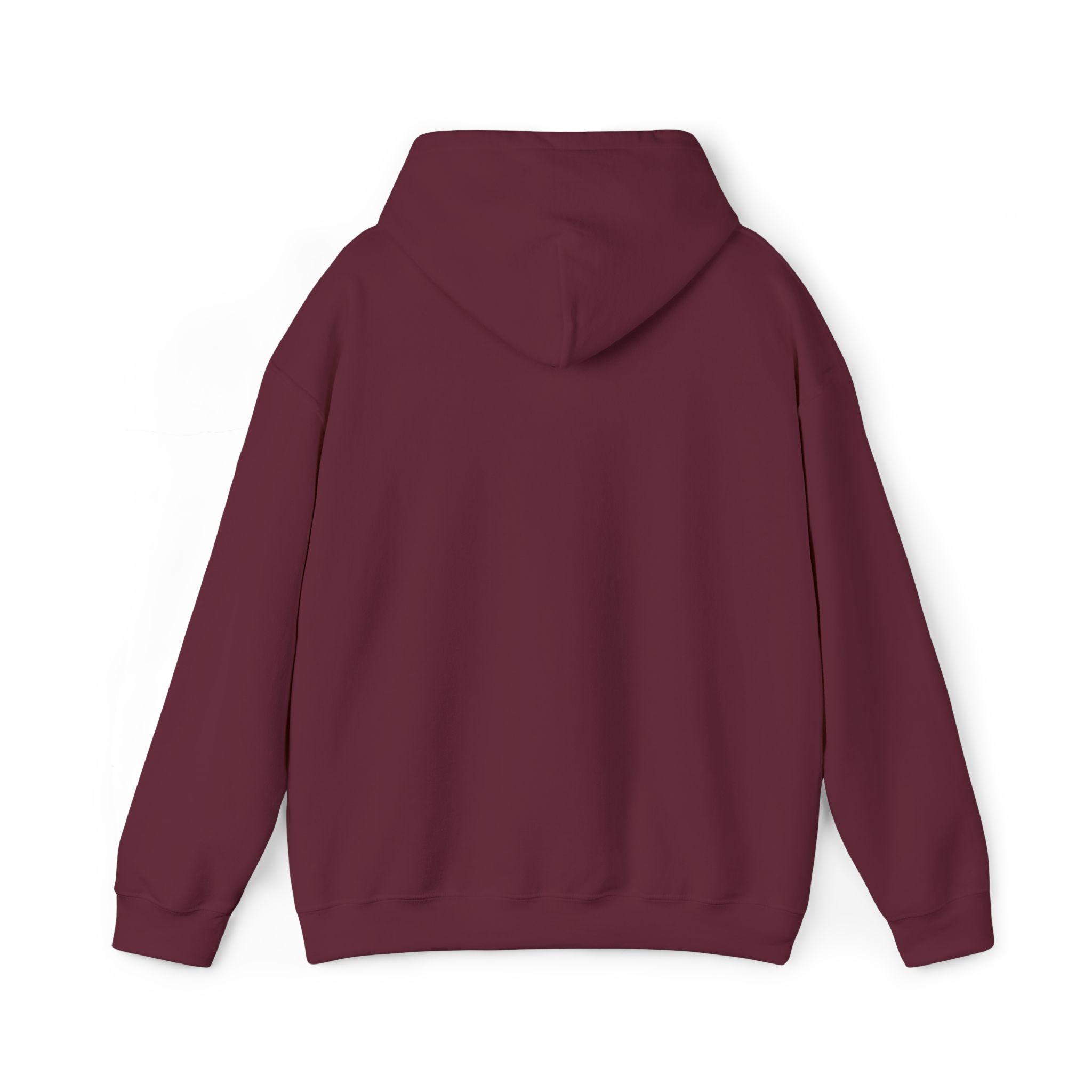 Echo Distressed Logo Hoodie — Retro Grunge Streetwear Pullover