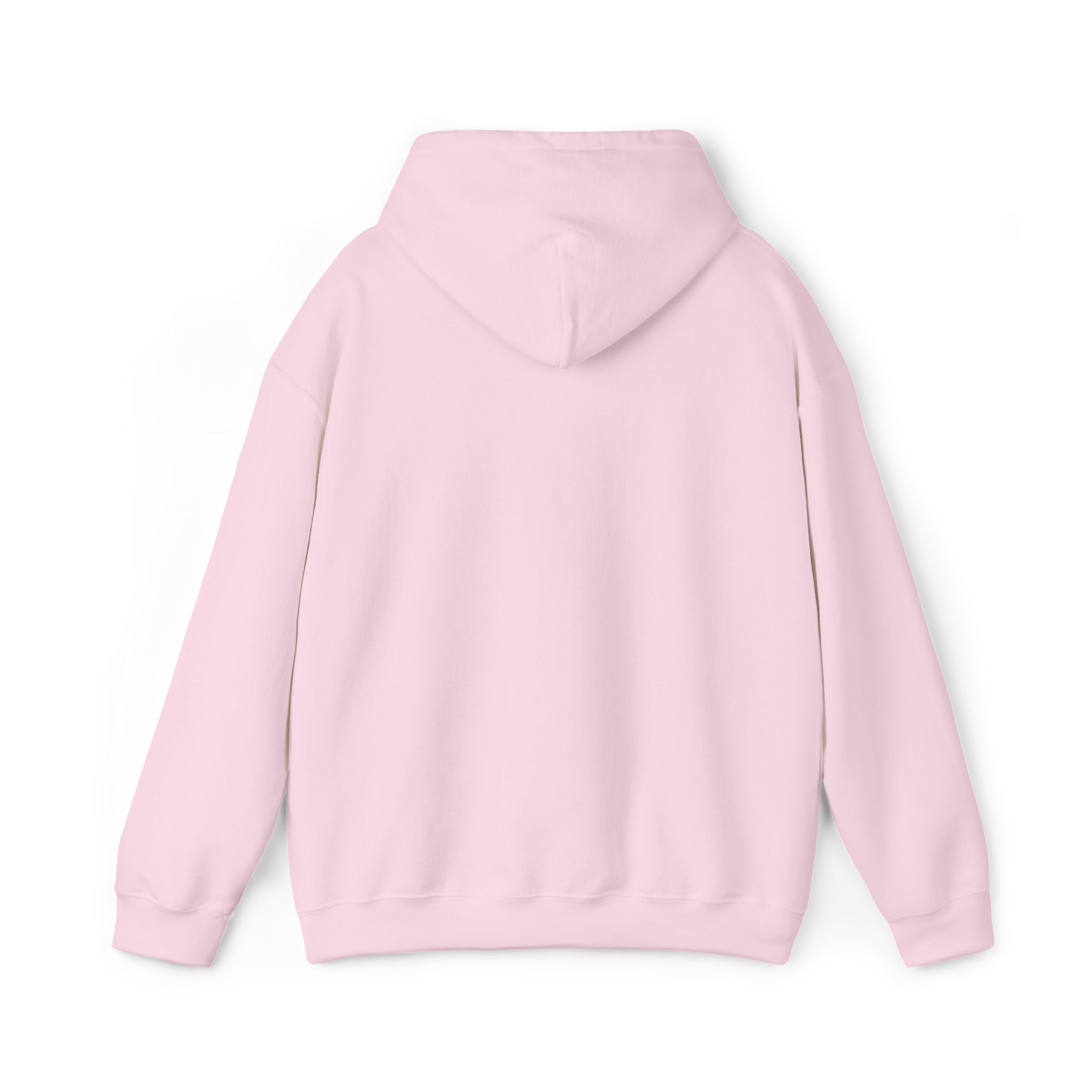 Echo Distressed Logo Hoodie — Retro Grunge Streetwear Pullover