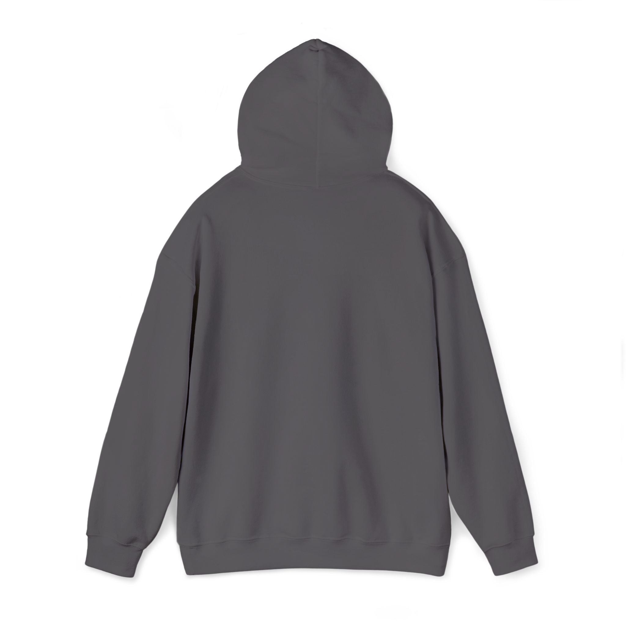 Echo Distressed Logo Hoodie — Retro Grunge Streetwear Pullover